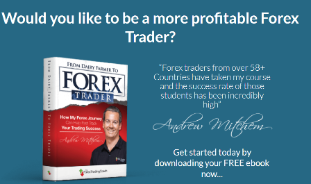 Forex Trading Trainer Betrug