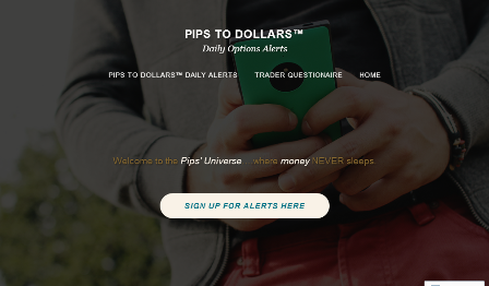 pips to dollars review