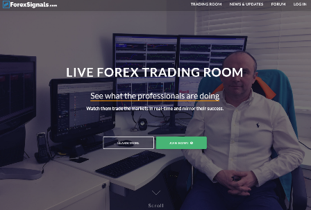 Forex signals and invest review