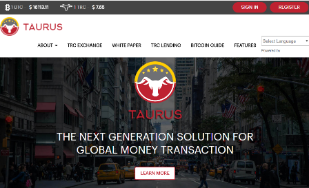 Il 95% delle transazioni in bitcoin sono fasulle - Taurus Investment Solutions