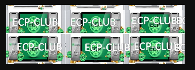 Recenzja ECP-club.com, Platforma ECP-club.com