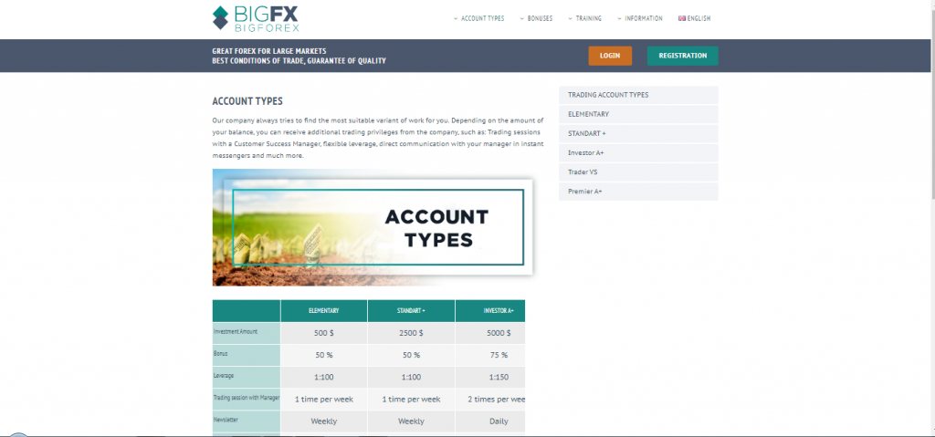 BigFX Account Types