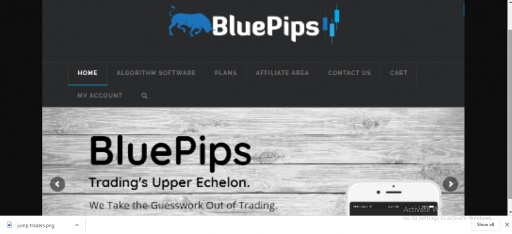 Blue Pips Review, Bluepips.com-platform