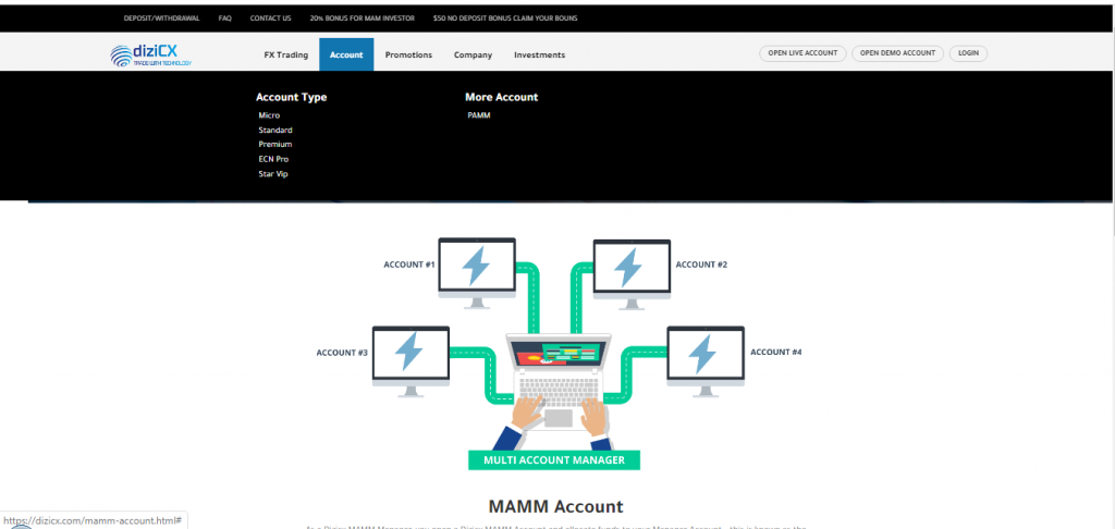 diziCX Account Types