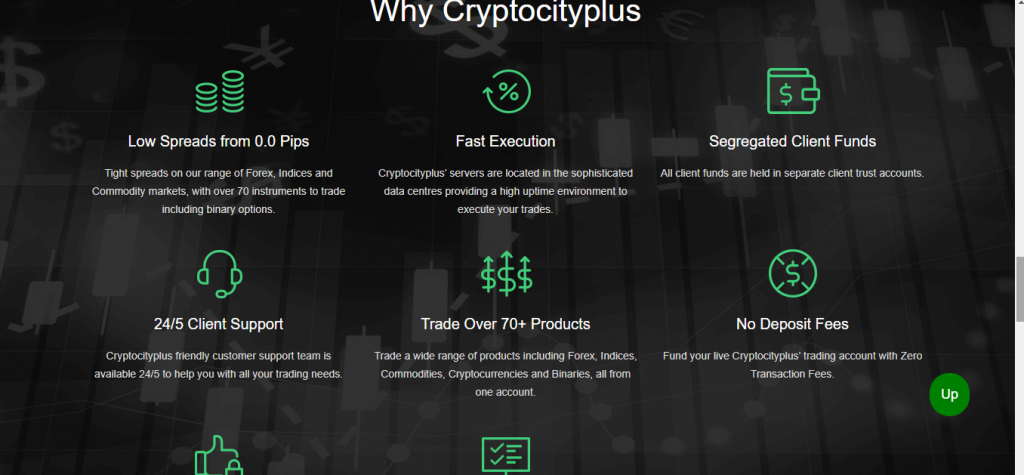 Revisión de Cryptocityplus.com, Características de Cryptocityplus.com