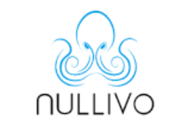 Nullivo Review, Firma Nullivo.io