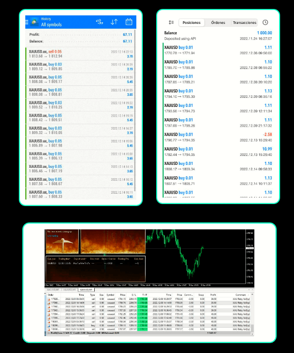 My trading results after testing Valery Trading EAs